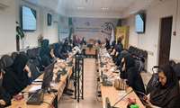 برگزاری کارگاه نظام مراقبت مبتنی بر جامعه در معاونت بهداشتی دانشگاه